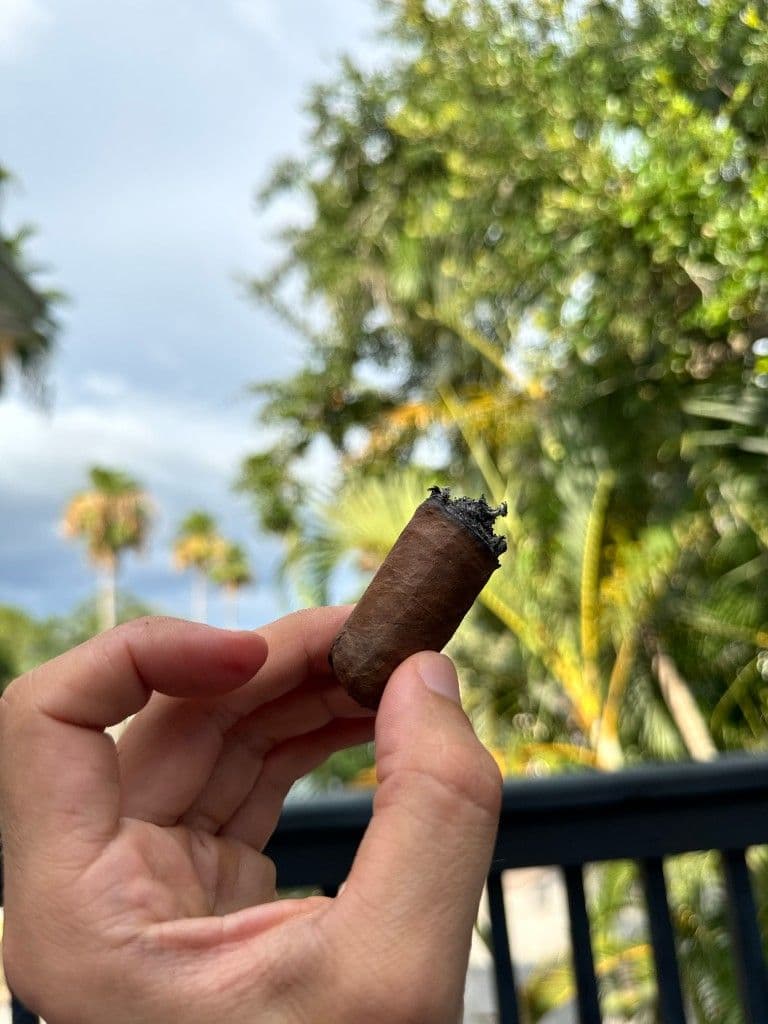 Final nub of the Perdomo Legacy Nicaraguan Shade Grown